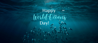 World Oceans Day: protecting the oceans for safeguarding our existence