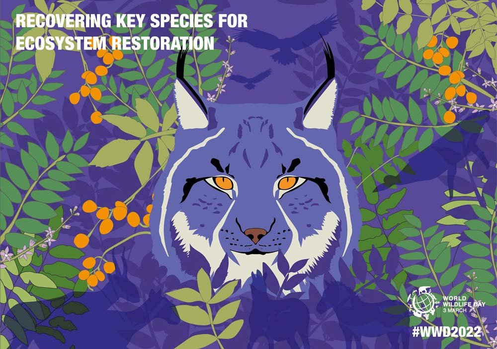 World Wildlife Day, la giornata mondiale dedicata alla fauna selvatica