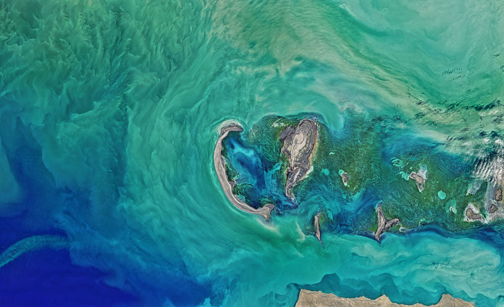 Il 5 giugno è la Giornata Mondiale dell’Ambiente