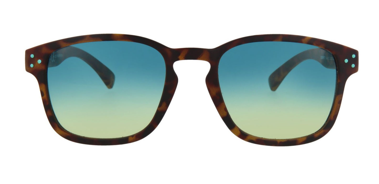 shark sunglasses matt havana
